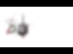 محرك متدرج هجين ثنائي القطب بقطر 20 مم نيما 8